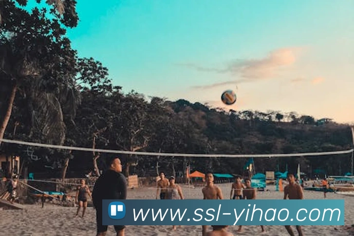 App Interface Preview